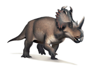 Centrosaurus.png