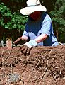 Cob wall mud construction