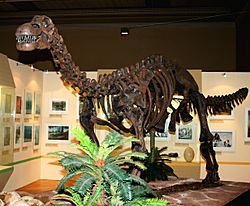 Epachthosaurus.jpg