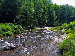 Esopus Creek above Shandaken, NY