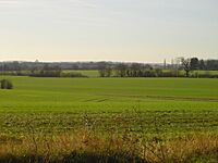 Farmland south of Lawshall Hall