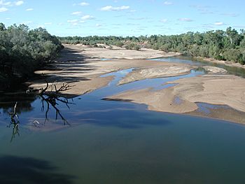 Fitzroy River at Fitzroy Crossing.JPG