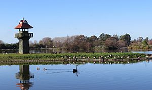 Henley Lake beside the Ruamahunga River