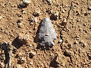 Hohokam Arrowhead Sahuarita Arizona 2014