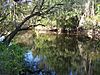 Little Manatee River SP river01.jpg