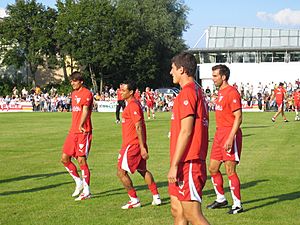 Mario Gomez und andere Spieler