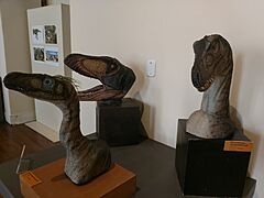 Modelos artísticos de dinossauros carnívoros