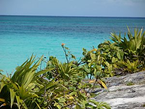 OceanTulum