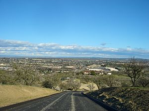 Overlooking southern Paso Robles