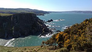 Pembrokeshire Cast path near Pwllgwaelod