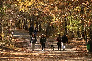 People walking at Manasquan