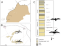 Phosphate mines in Morocco