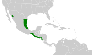 Psittacara holochlorus map.svg