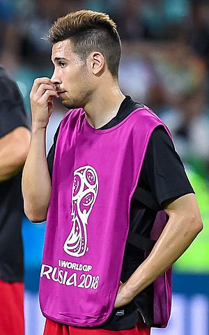 Raphaël Guerreiro (cropped).jpg