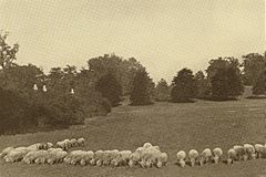 Rockwood farmland