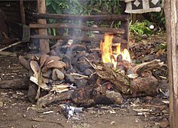 Samoa umu