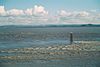 Severn Estuary.jpg