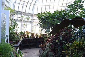 Talcott Greenhouse VI