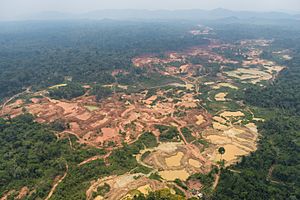 Terra Indígena Kayapó, Pará (41216118620)