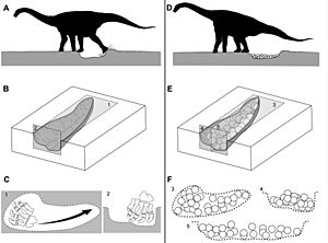 Titanosaur nesting