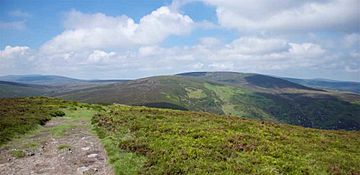 Tonduff, Wicklow, Ireland.jpg