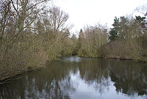 Ufton Fields 2