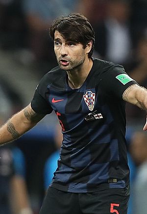 Vedran Ćorluka 2.jpg