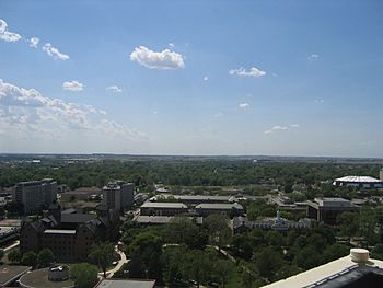 View from Watterson Towers