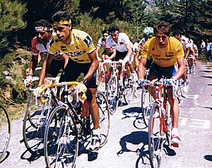 Vuelta España 1989