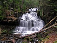 Wagner Falls.jpg