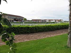 Wincanton racecourse