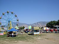 2008 Wildflower Festival