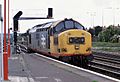 37 371 at Eastleigh