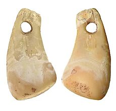 ANE deer tooth pendant from Denisova Cave