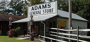 Adams General Store