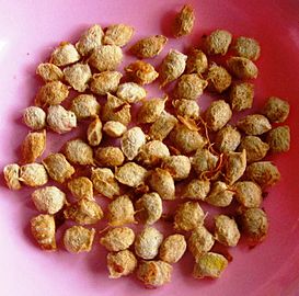 Bael fruit (Aegle marmelos) seeds