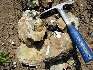 BrokenConcretion22.jpg