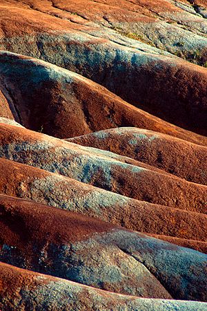 Cheltenham Badlands closeup.jpg