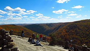 Coopers Rock Main Overlook