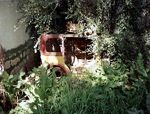 Dalai Lama's Baby Austin car