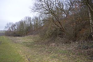 Downfield Pit north 4.JPG