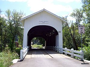 Harris Bridge Wren