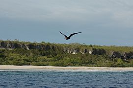 Henderson Island-110263