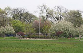 Independence Park 2.2.jpg