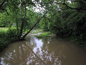 Indian Creek Tyler County WV.jpg