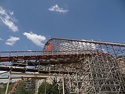 Iron Rattler 19.jpg