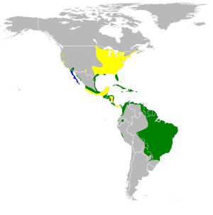 Ixobrychus exilis map.svg