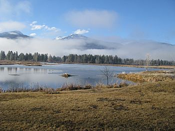 January Ice Fog (8662560141).jpg