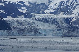 Johns Hopkins Glacier (2)