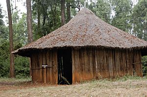 Kikuyu village 02